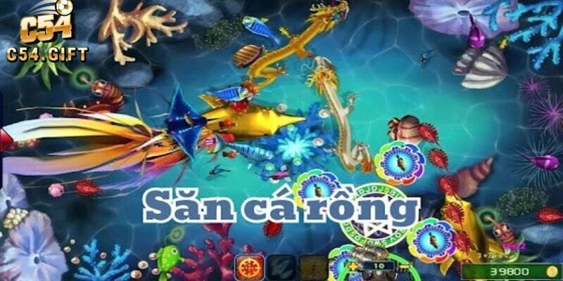 Săn cá rồng - Kinh nghiệm chơi thắng lớn tại cổng game C54 3 Hướng dẫn tham gia săn cá rồng cho người mới