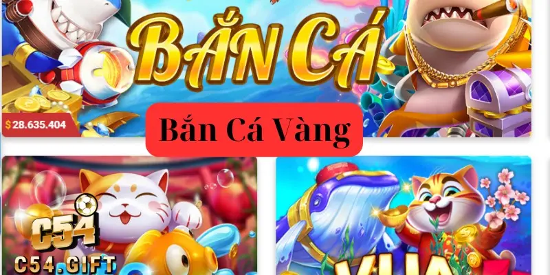 Bắn Cá Vàng C54: Bí Kíp Săn Cá Cực Đỉnh Từ Các Cao Thủ 1 Bắn Cá Vàng C54: Bí Kíp Săn Cá Cực Đỉnh Từ Các Cao Thủ