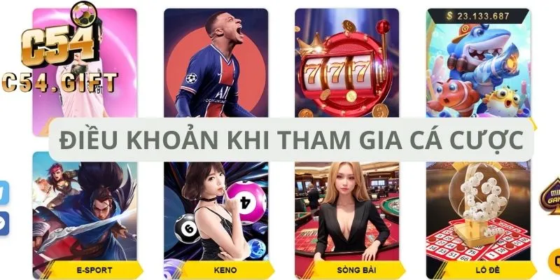 Điều Khoản C54 - Quy Định Khi Tham Gia Cá Cược Trực Tuyến 9 Điều khoản về yêu cầu tham gia cá cược