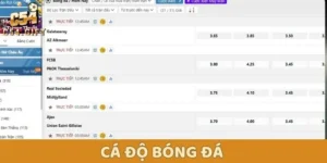 Cá Độ Bóng Đá