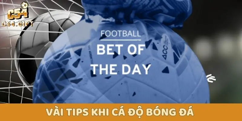 Cá Độ Bóng Đá: Hướng Dẫn Chi Tiết Cho Cược Thủ Newbie 5 Tips giúp người mới cá độ bóng đá hiệu quả