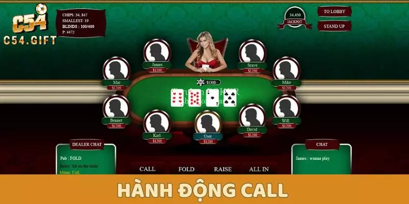 Luật Poker - Tìm Hiểu Tất Tần Tật Về Luật Cho Người Mới 4 Hành động Call