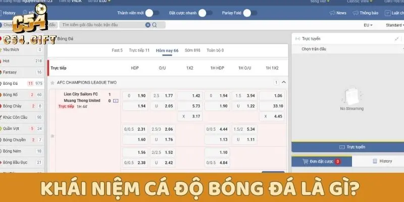 Cá Độ Bóng Đá: Hướng Dẫn Chi Tiết Cho Cược Thủ Newbie 1 Khái niệm cá độ bóng đá là gì?