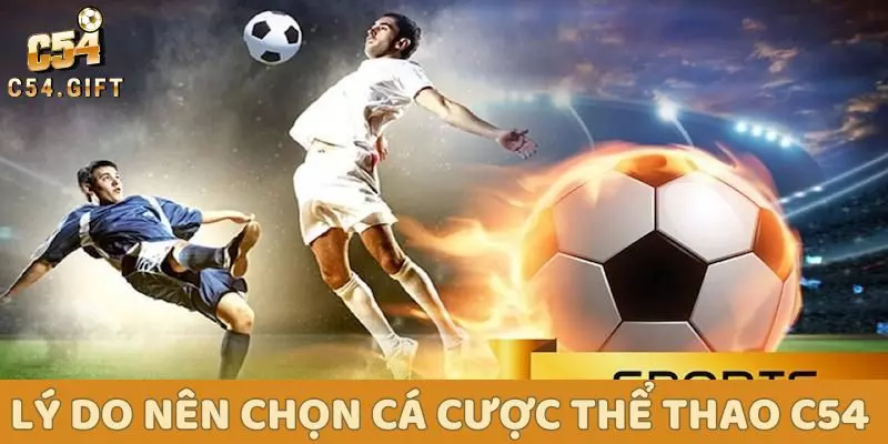 Cá Cược Thể Thao C54 - Hướng Dẫn Chi Tiết Nhất Cho Newbie 1 Lý do nên chọn cá cược thể thao tại C54