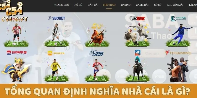 Tổng quan định nghĩa nhà cái là gì?