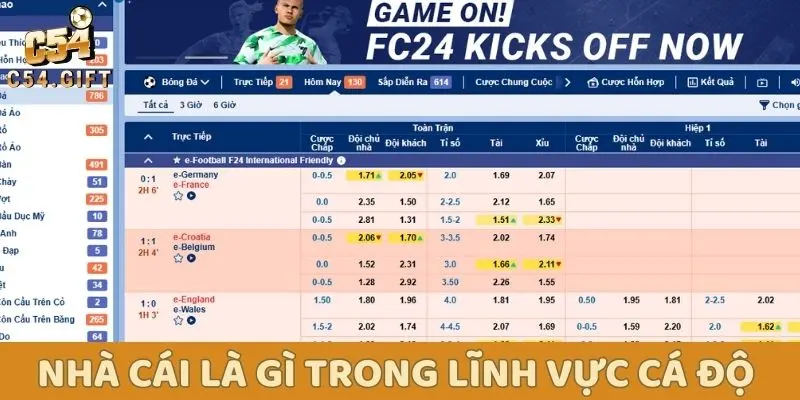Hoạt động của nhà cái trong lĩnh vực cá độ
