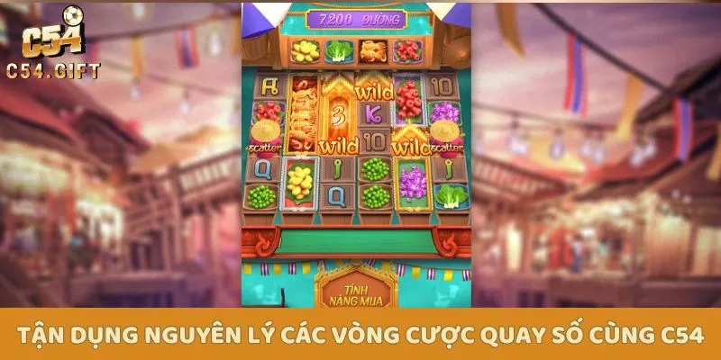 Hội viên cần nắm rõ nguyên lý đặt cược khi tham gia quay hũ